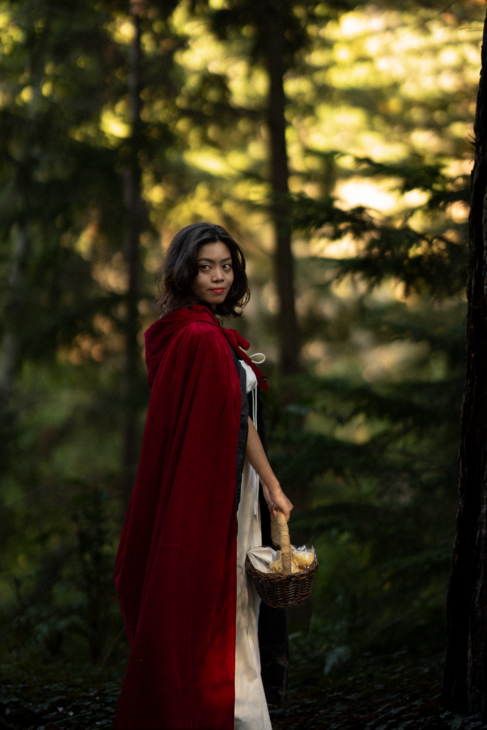 A figure in a red hooded cape walks through a sunlit forest carrying a basket.