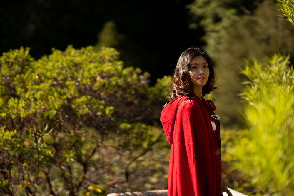 A person in a red cape walks through golden-lit foliage in a forest setting.