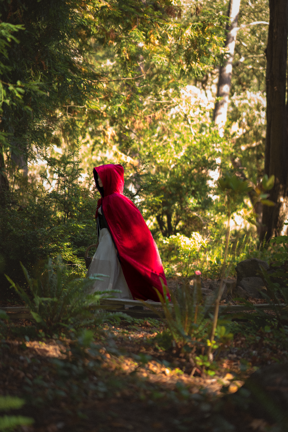 A red-hooded figure stands among trees and fallen leaves in a shadowy forest setting.