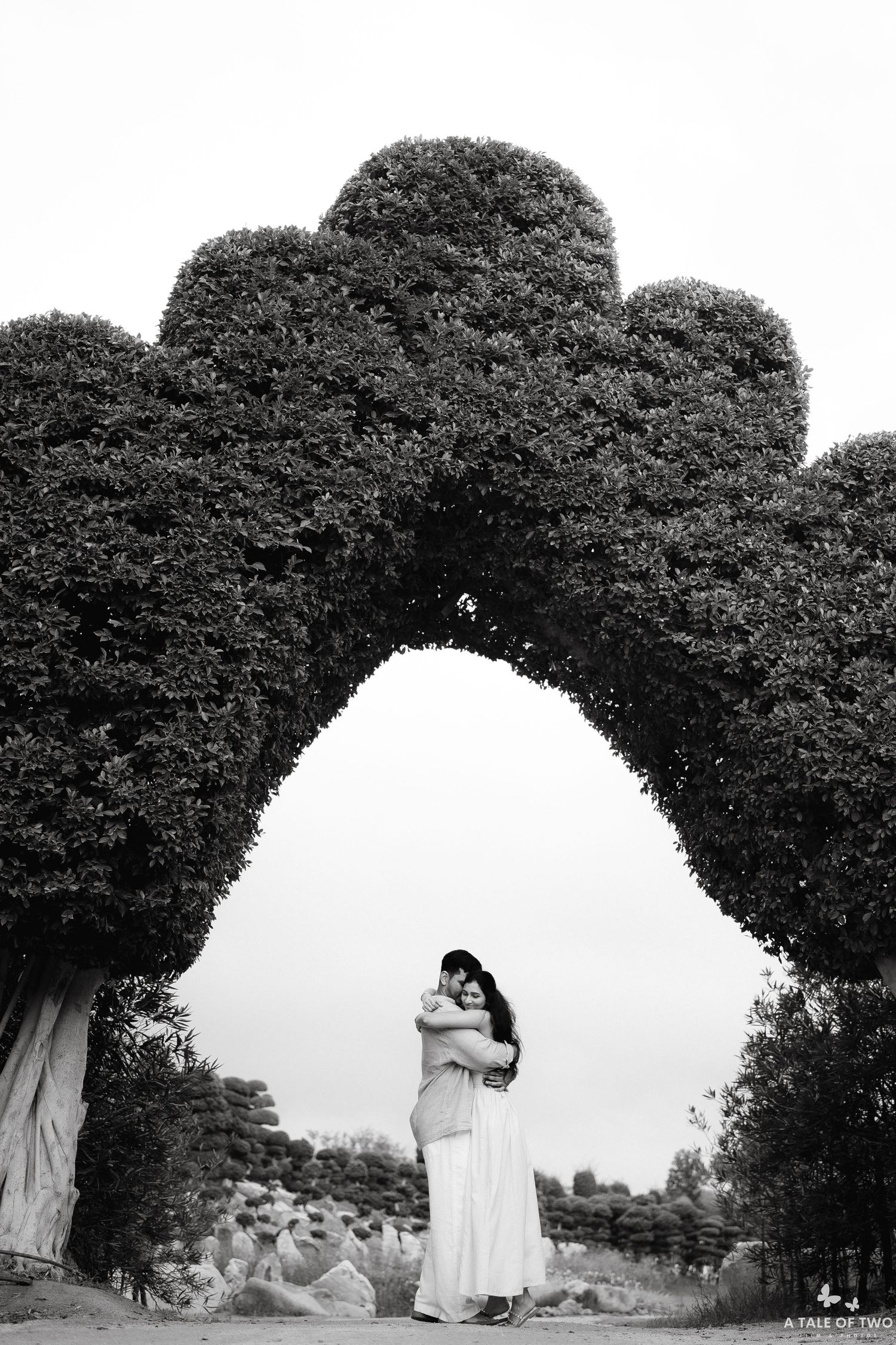 Black and white photograph of a garden archway made of trees creating a natural tunnel effect.