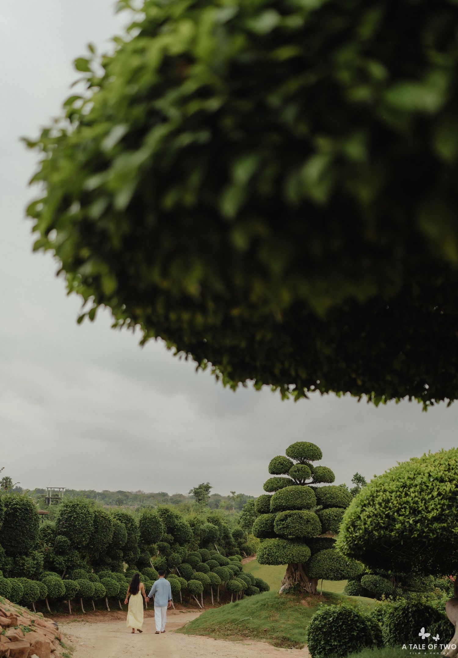 A scenic garden pathway with manicured topiary trees and hedges leading to a distant view under overcast skies.