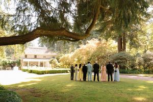 Wedding party poses under towering evergreen trees on a sunny day at an outdoor venue.