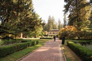 Tree-lined walkway with autumn foliage leads through a peaceful park on a sunny day.