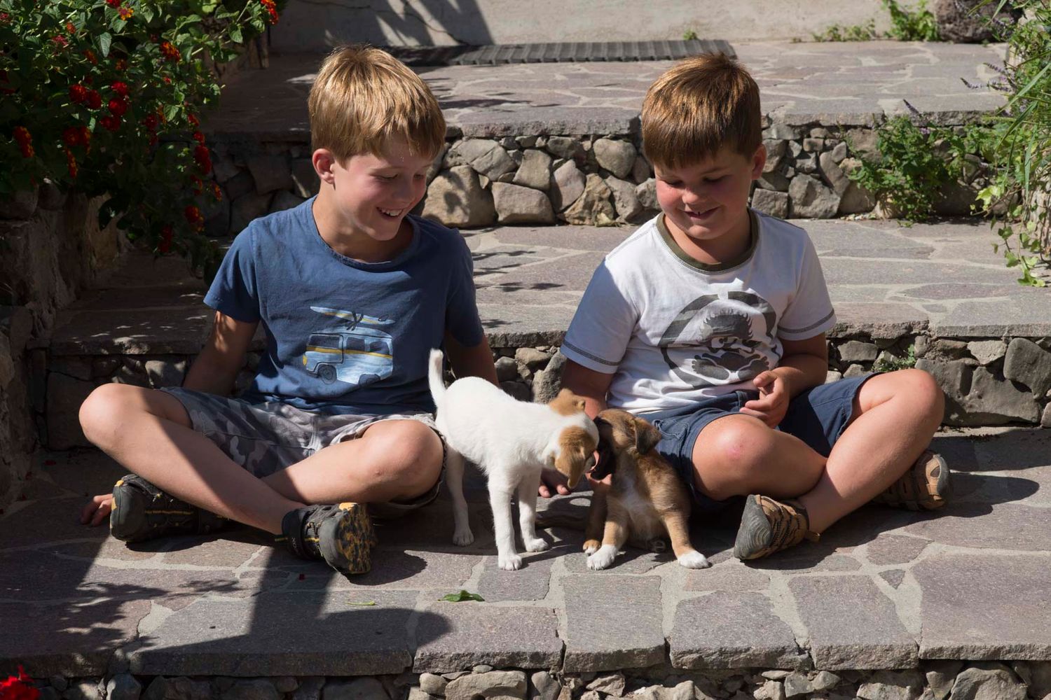 Two young boys cuddling playful puppies during a family photography session by Abiagil's Stusio, Buckinghamshire.