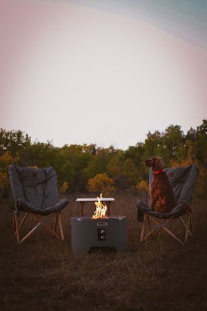 Dog sits in camping chair beside fire pit at sunset with autumn trees in background.
