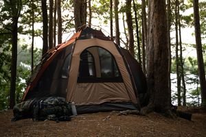 Camping tents set up among tall pine trees in a serene forest campground during daytime.