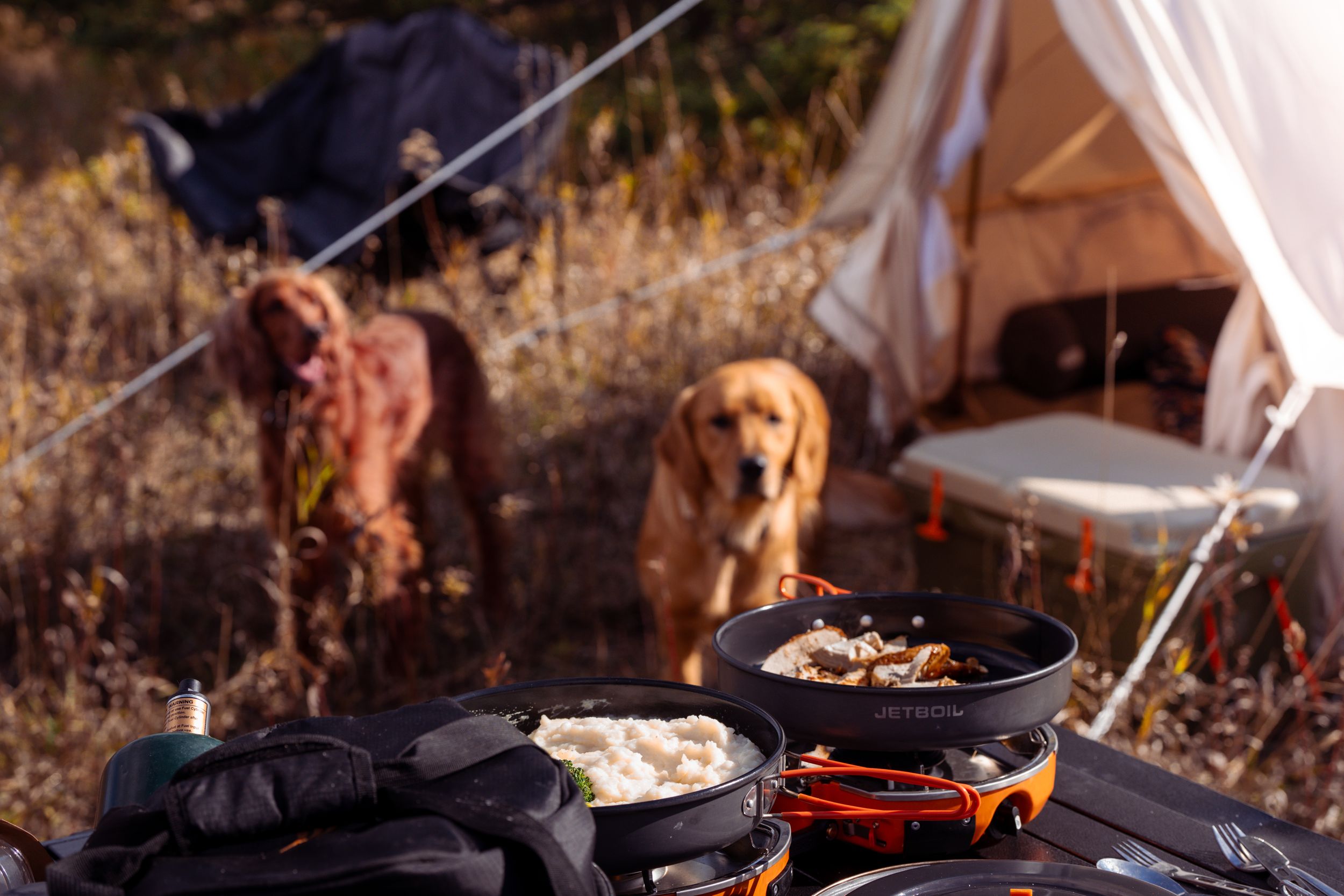 A compilation of camp cooking photos showing grilling, campfire meals, and outdoor food preparation in nature.