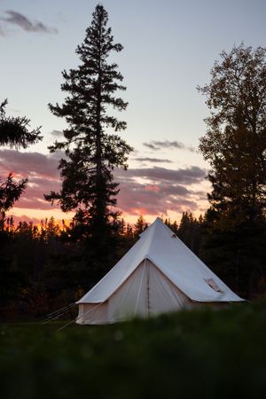 Three white canvas bell tents silhouetted against a colorful sunset sky with tall evergreen trees in the background.