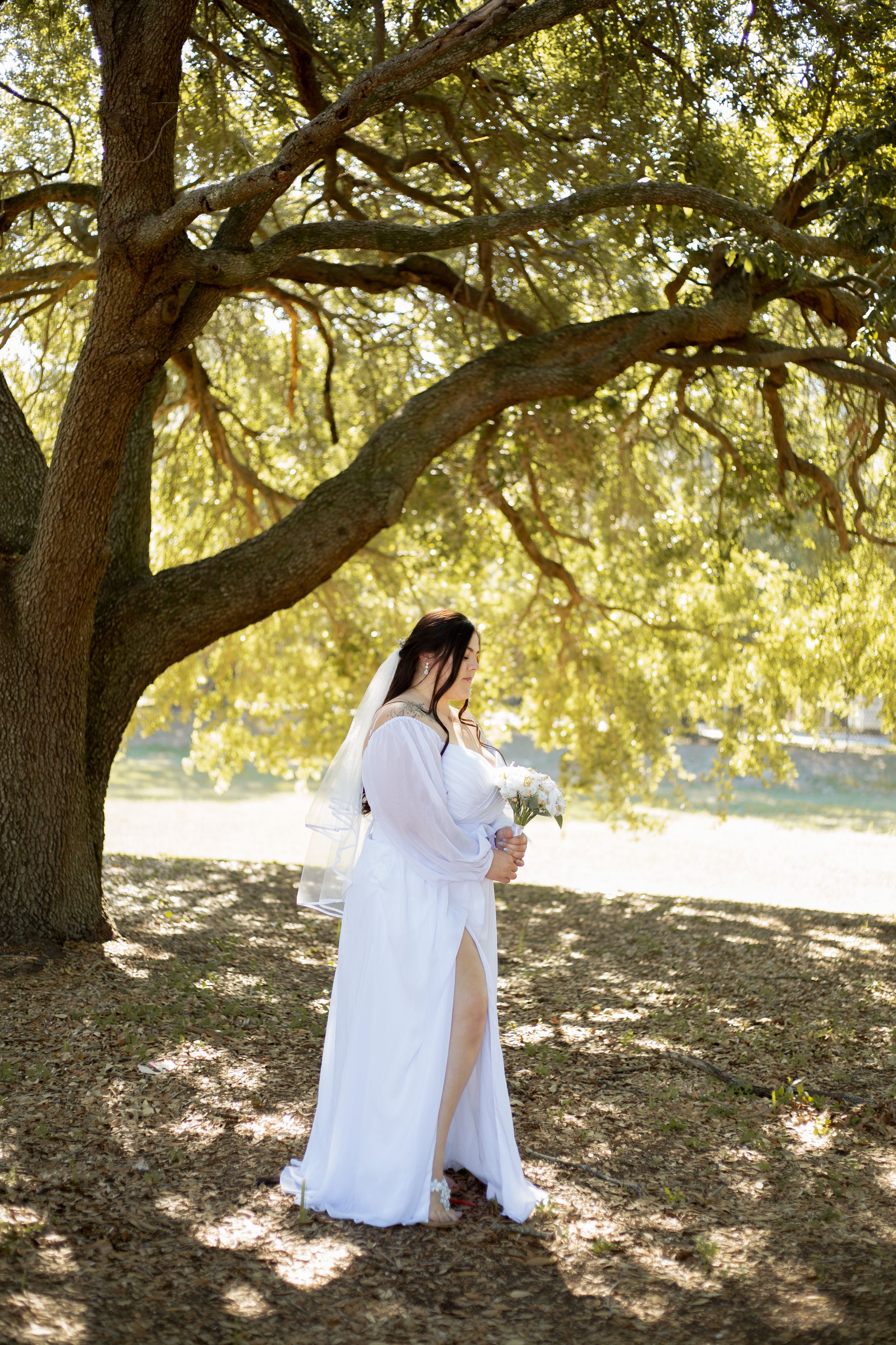 A serene bridal portrait under a sprawling oak tree with dappled sunlight.