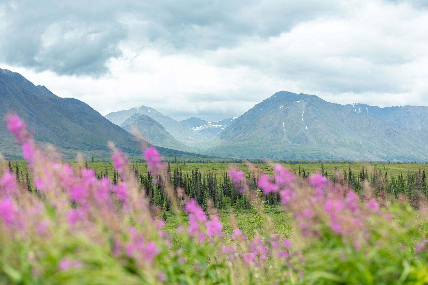 Photographer with telephoto lens captures scenery against snowy mountain backdrop.