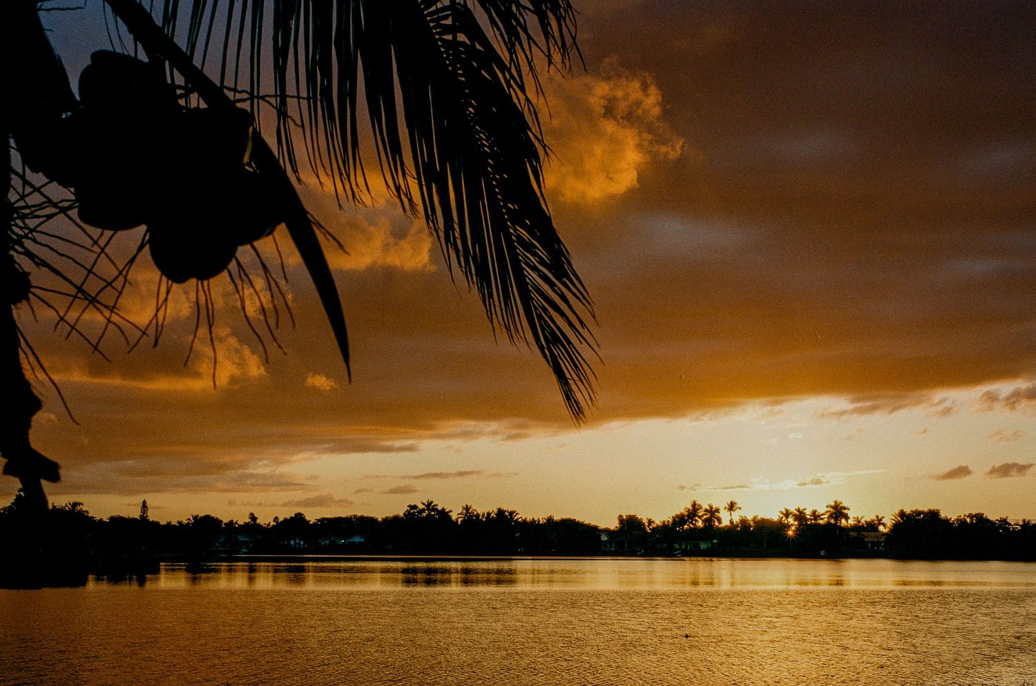 Golden sunset over a tropical lagoon with silhouetted palm fronds and calm reflective waters.