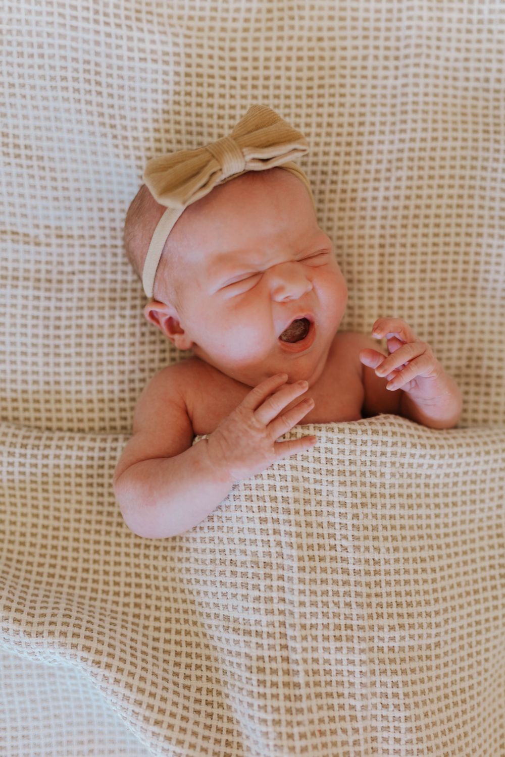 A series of close-up shots showing a tiny newborn baby's hands and feet resting on a textured beige blanket.