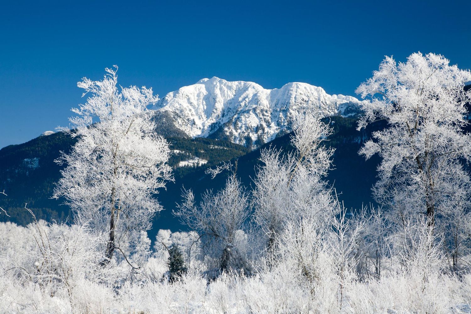 Pitt Lake, Pitt Meadows, Maple Ridge Golden Ears Mountains, Mount Blanshard, British Columbia