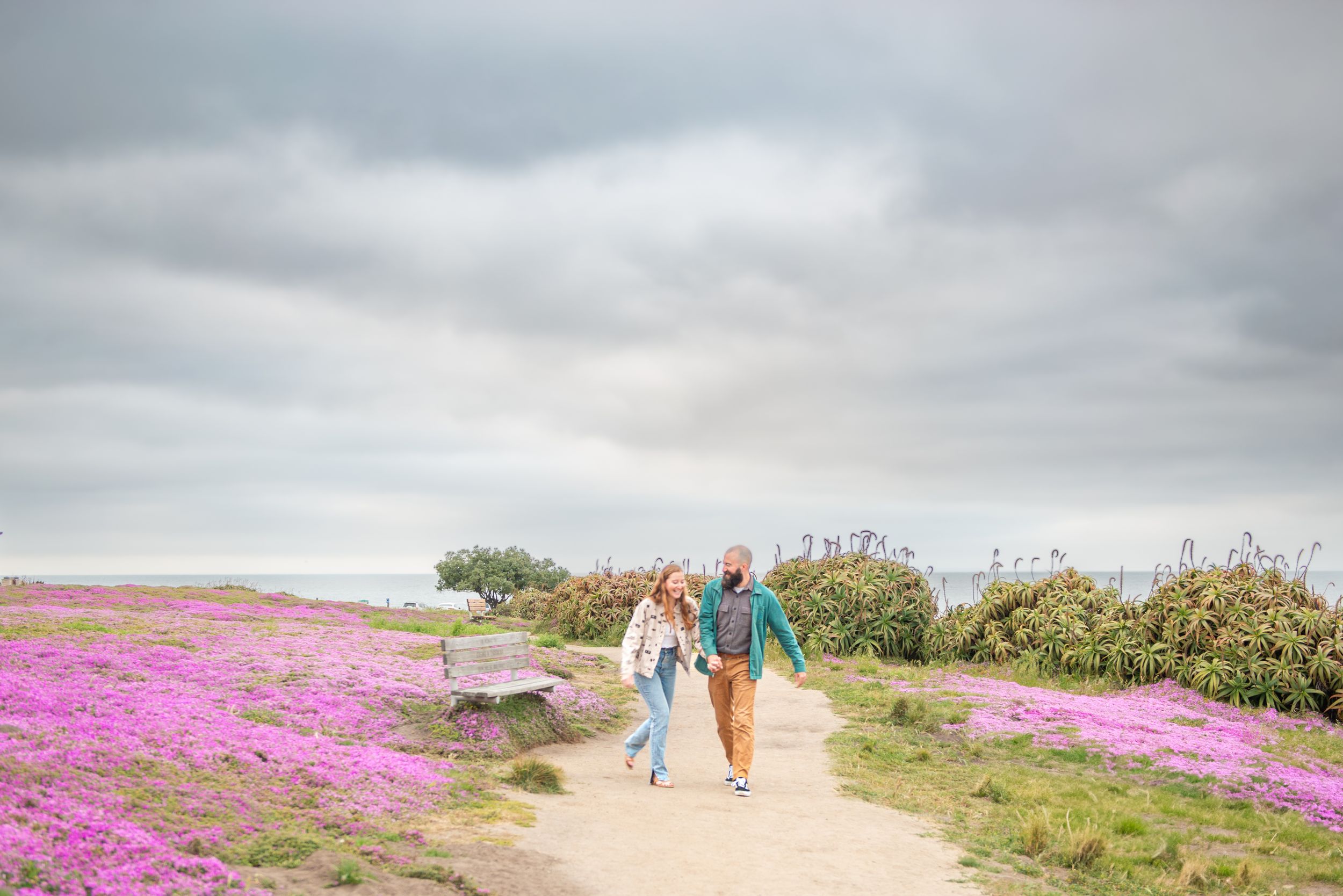Monterey Engagement photos holding hands walking on a sandy path surrounded by vibrant pink wildflowers under a cloudy sky.