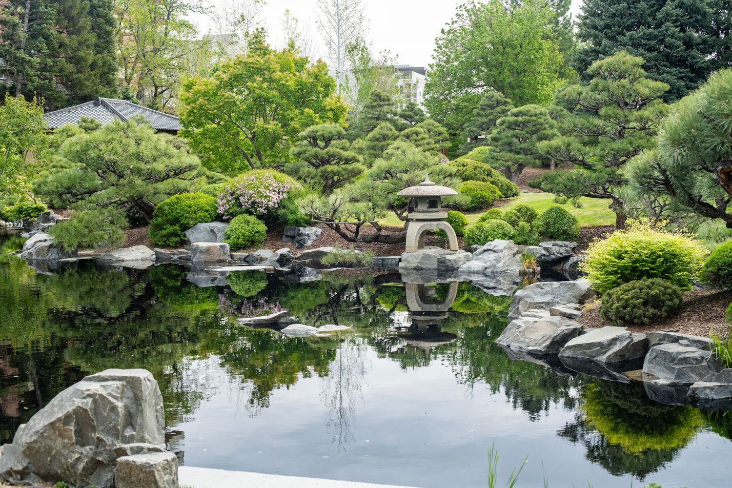 Serene Japanese garden with stone lantern, koi pond, and lush greenery reflecting in calm water.