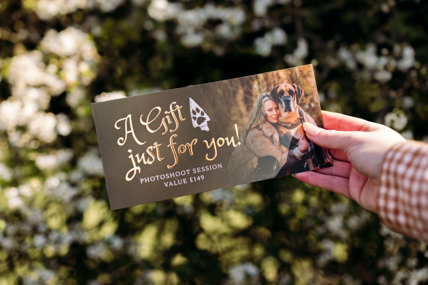 Gift card for a photoshoot session valued at $149 displayed among white spring blossoms on a flowering tree.