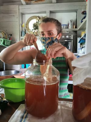 Woman wearing a face mask stirring kombucha in a large glass jar in a rustic kitchen.