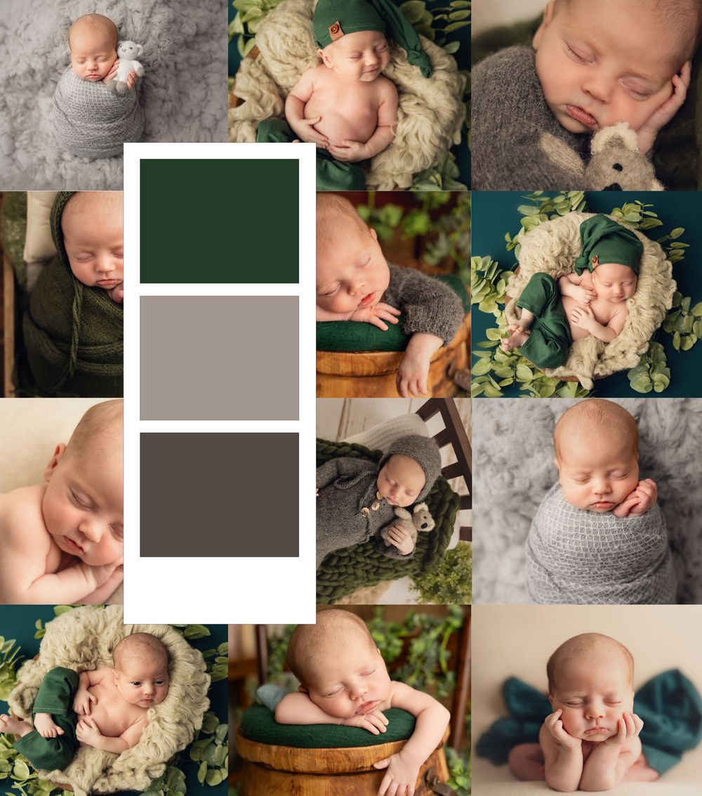 Newborn baby photography collage featuring sleeping infant in green, gray, and brown tones with floral props.