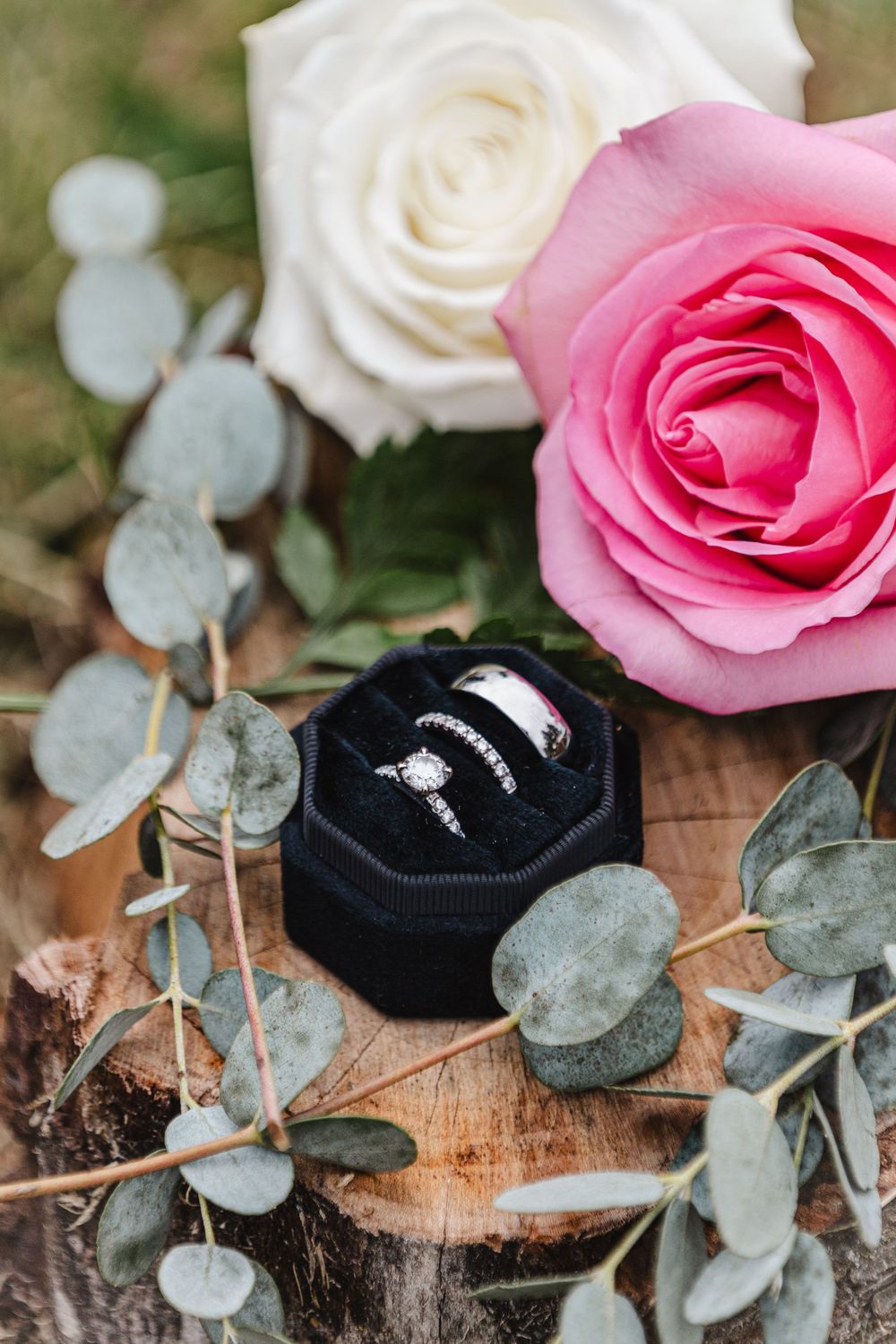 Wedding rings in black velvet box surrounded by pink and white roses with eucalyptus.