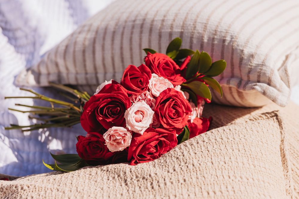 A romantic bouquet of red and pink roses resting on a beige knit blanket with striped pillows in soft natural light.