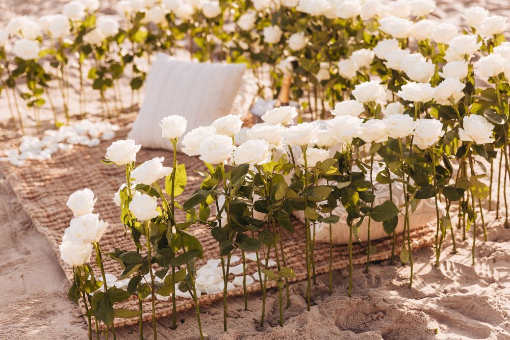 White roses arranged in a grid pattern on a woven mat in sandy beach setting with soft cushions.