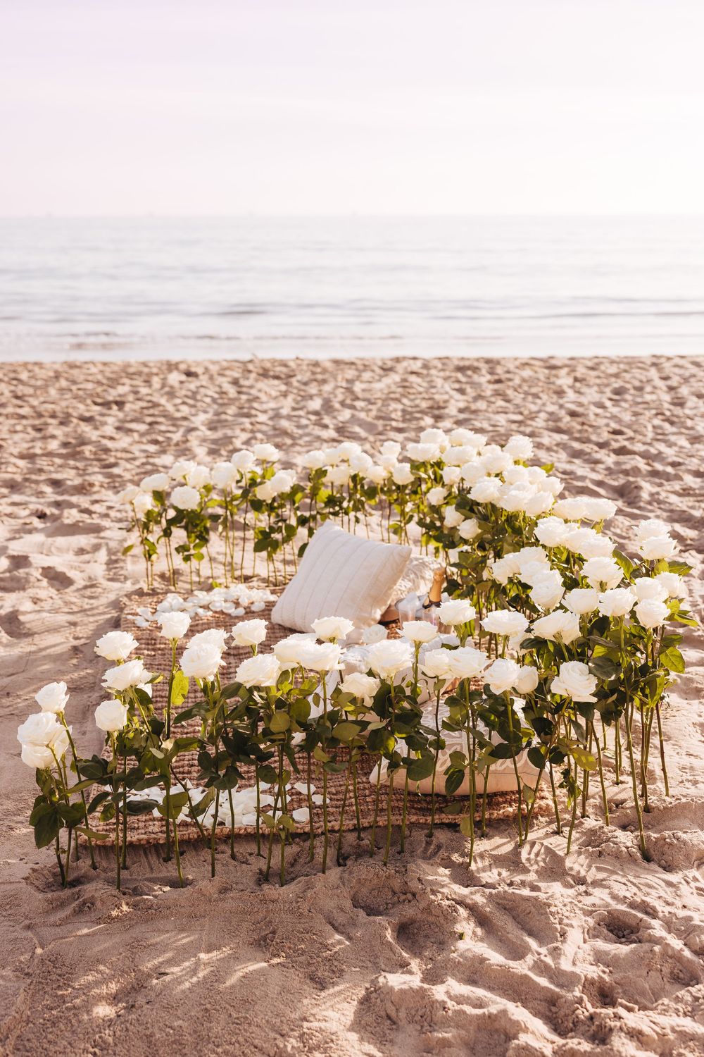 Heart-shaped arrangement of white roses on sandy beach with ocean backdrop, perfect for romantic wedding or proposal decor.