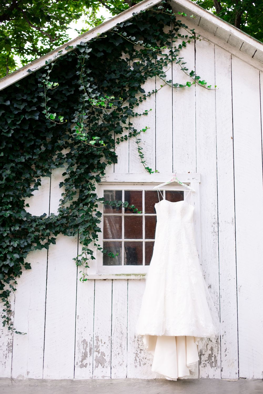 White wedding dress hanging on window of ivy-covered white barn.