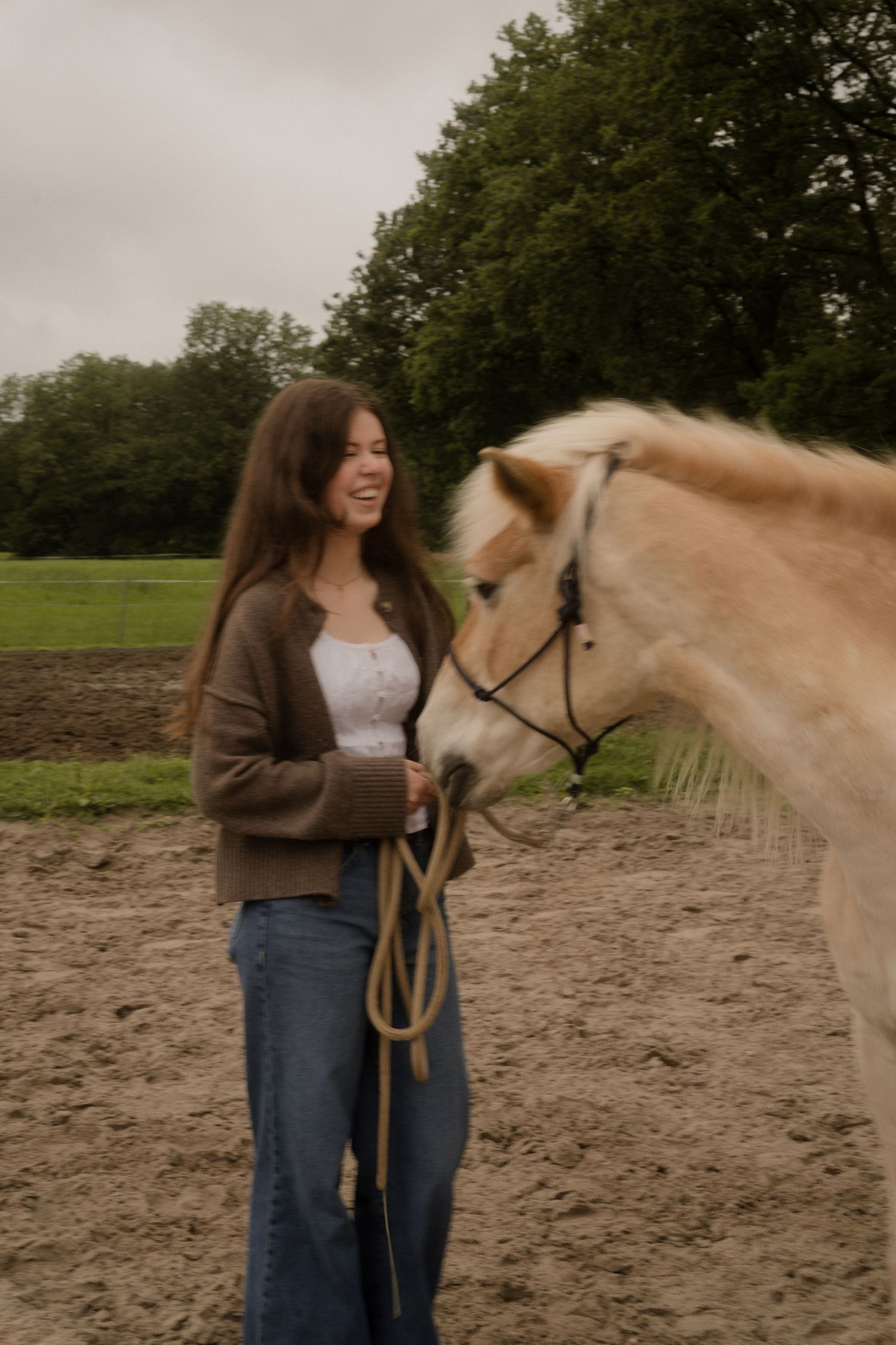 Paardenfotograaf Twente | LivHoomansPhotography Liv Hoomans