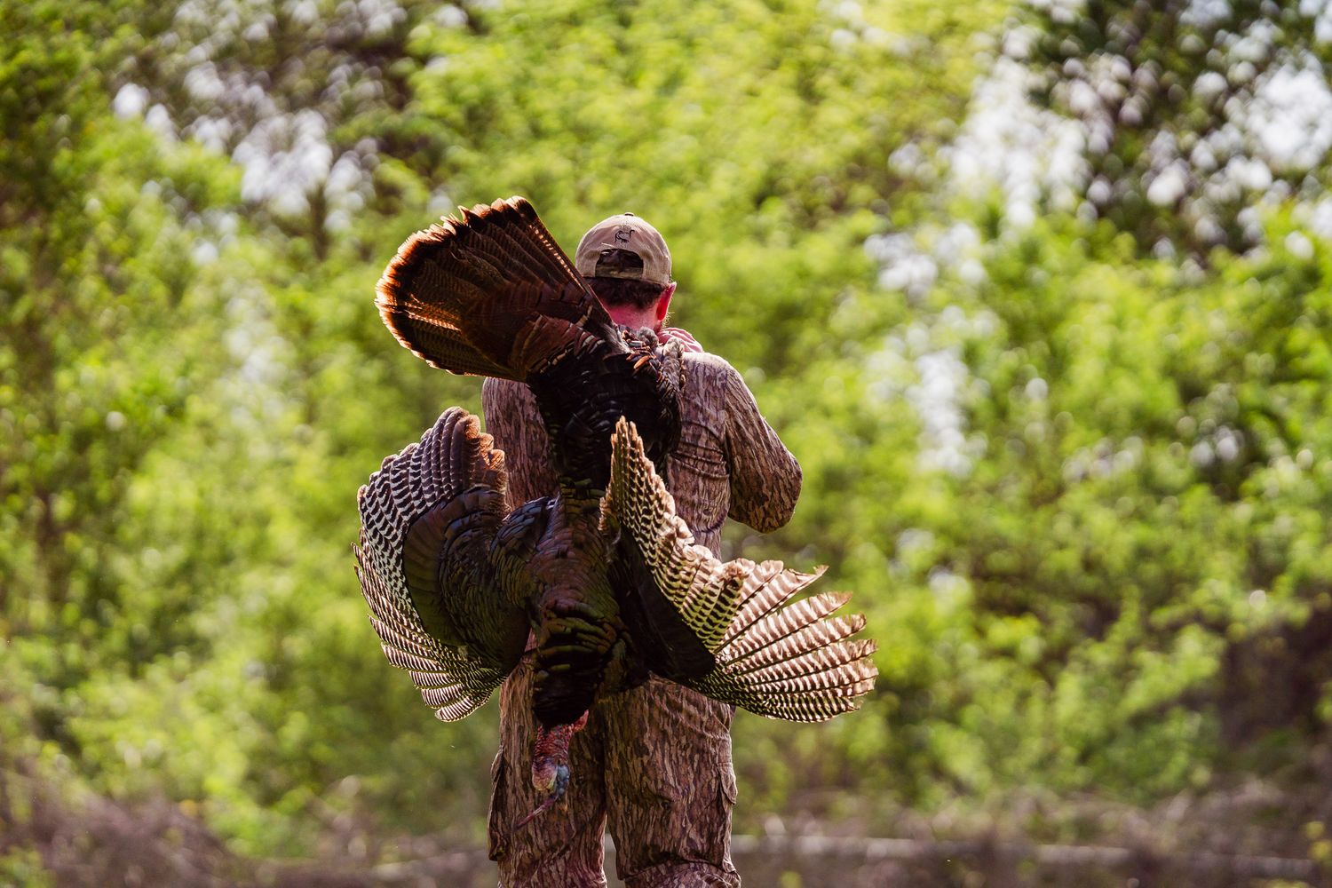 Hunter in camo holding a wild turkey with fanned tail feathers in a wooded outdoor setting.