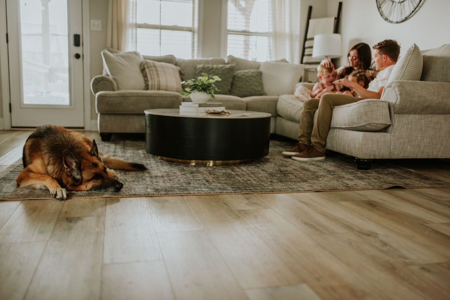 In home family session with a family cuddling on the sofa and their loving german Shepard lays on the carpet watching over his family.