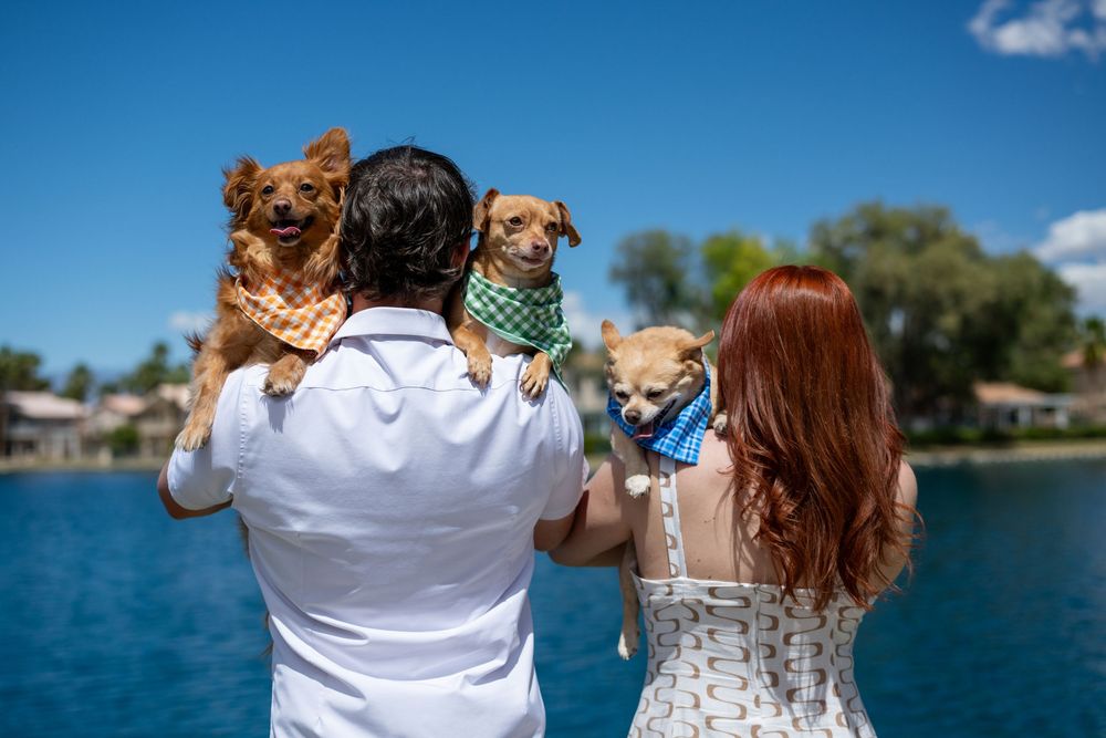 Couple standing by a lake holding three small dogs wearing colorful bandanas on a sunny day.