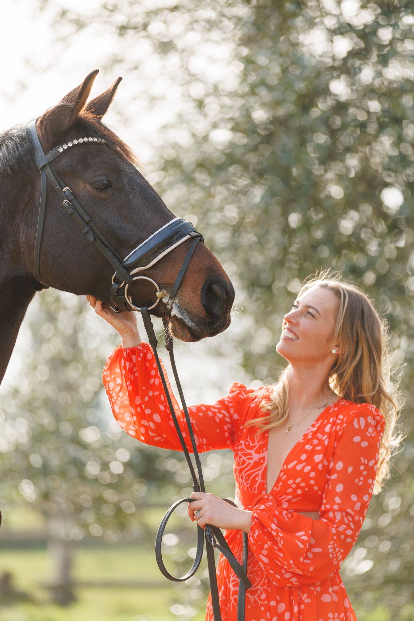 A beautiful bay horse wearing a black bridle stands next to someone in a white lace dress in an outdoor setting.