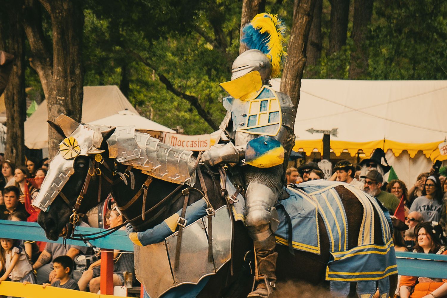 Sherwood Forest Faire, Austin Texas. Savannah Richeda Studios Ren Faire Photographer Jousting Tournament Cinematic Photographer