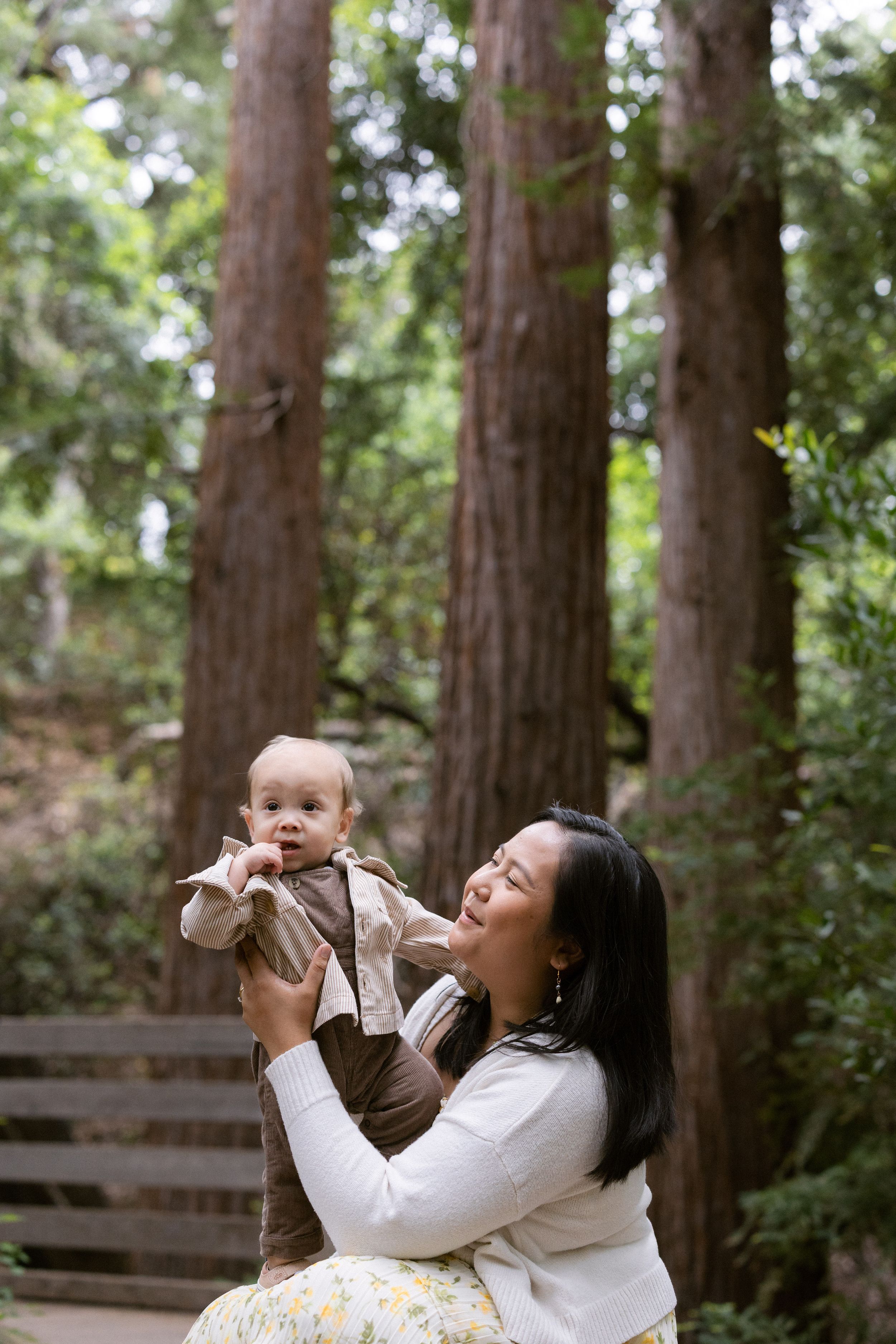 Redwoods family portraits in Bay Area