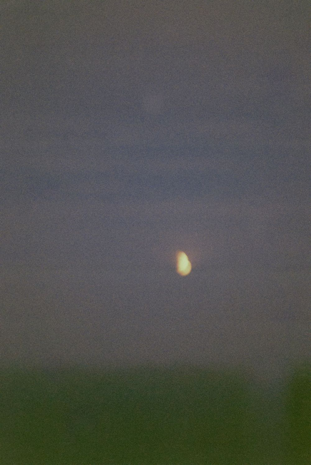 A glowing crescent moon illuminates the dusky blue twilight sky above a dark treeline.