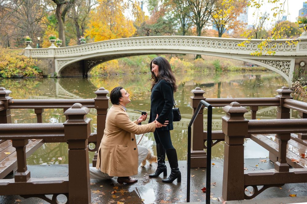 A romantic marriage proposal at Bow Bridge in Central Park with autumn foliage and a lake backdrop.