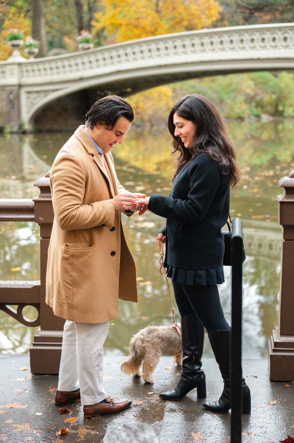 Man in camel coat presenting ring to woman in black jacket during autumn proposal at Central Park Bow Bridge.