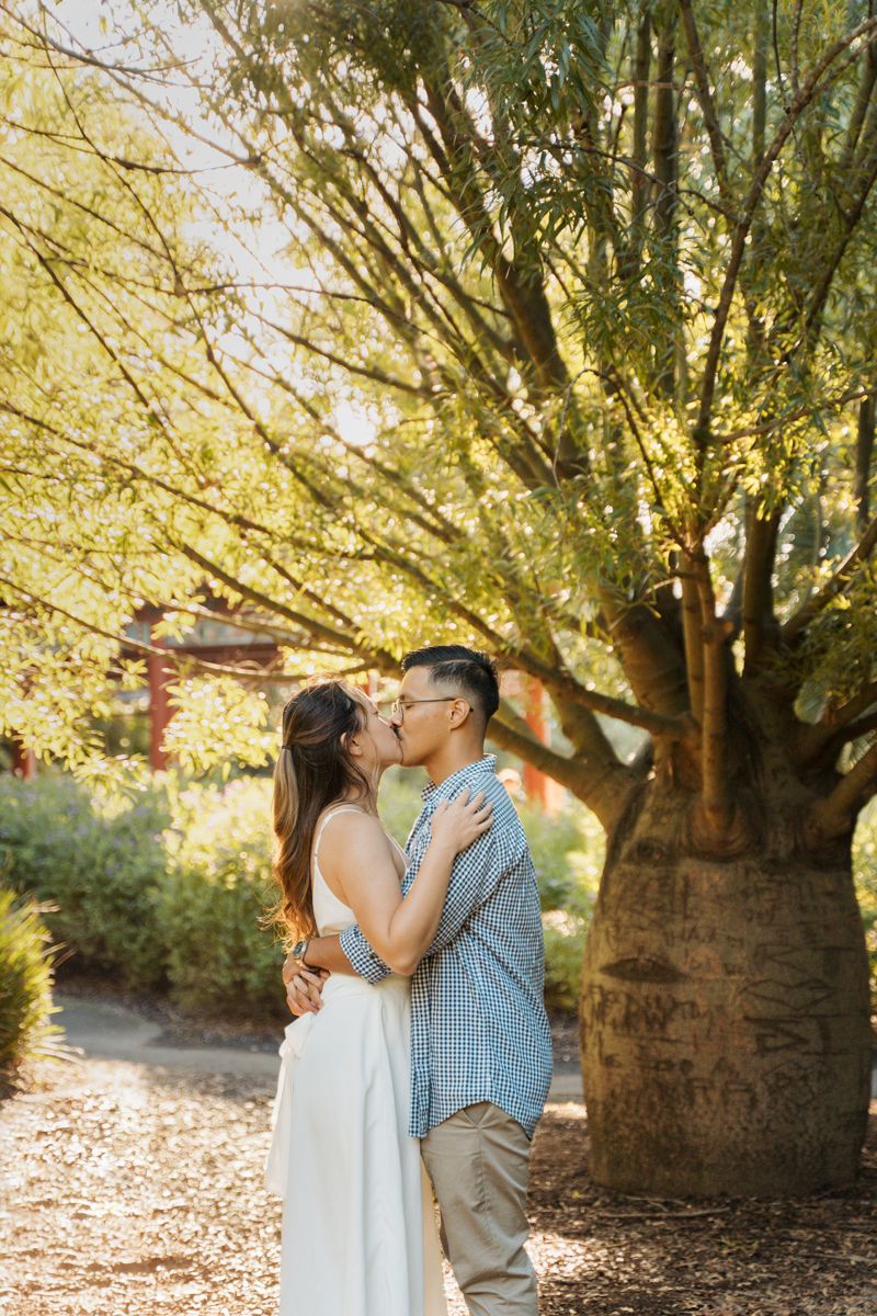 Couple sharing a romantic kiss under a sunlit tree in garden during an outdoor engagement session in western sydney parklands