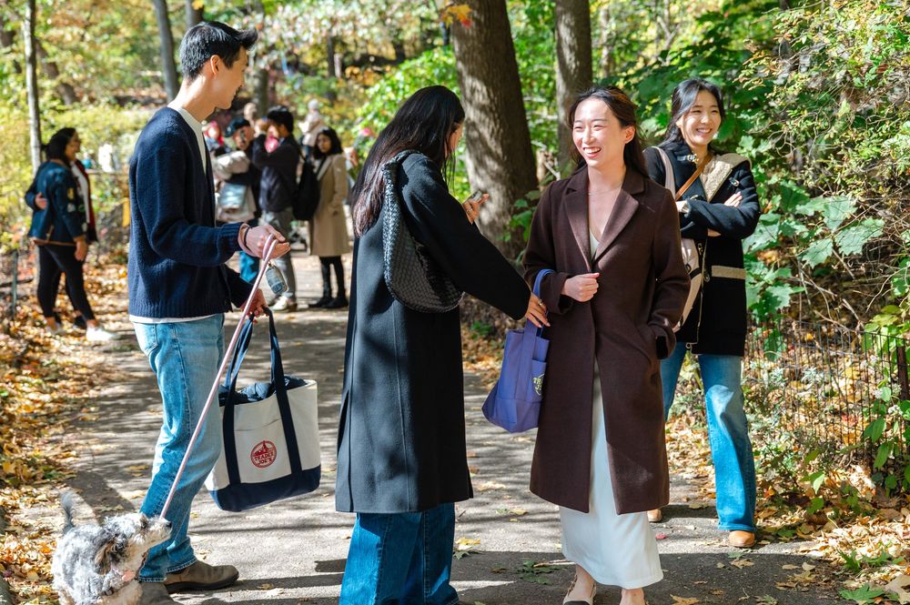 Group of friends laughing and socializing on a tree-lined park path in autumn with a small dog.