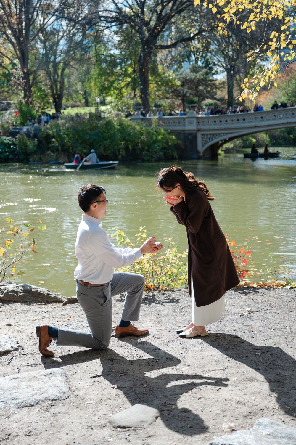 Man on one knee proposing to woman near Bow Bridge in Central Park on a sunny autumn day.