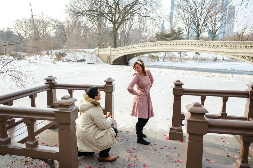 Man proposing to woman in pink coat near Bow Bridge in snowy Central Park NYC with rose petals.