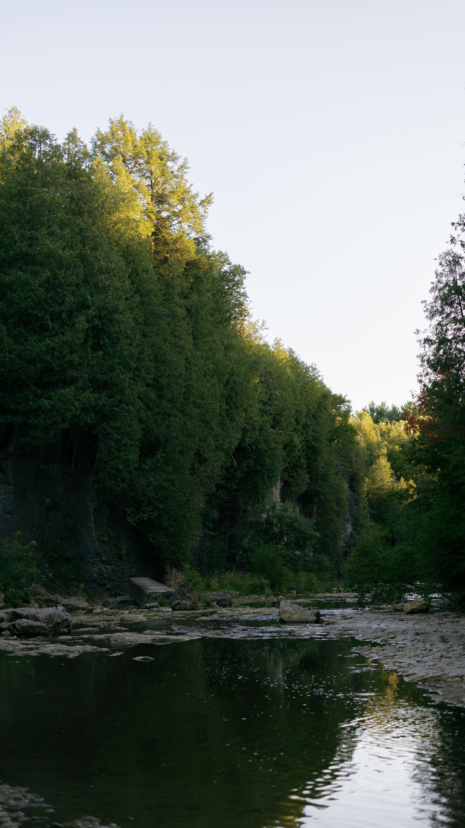 A serene river with dark green water reflects tall trees along its rocky shoreline under an overcast sky.