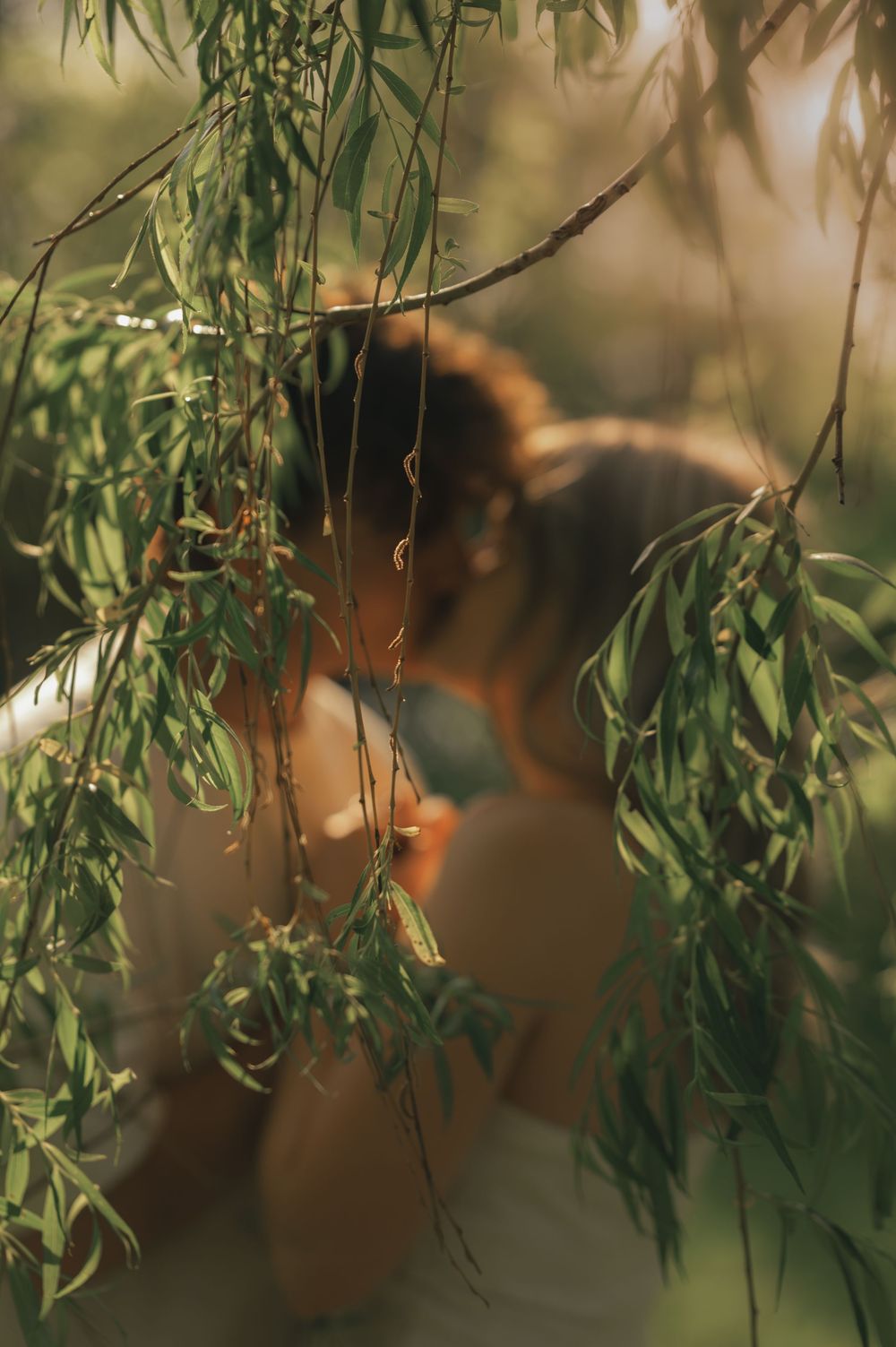 Couple sharing a romantic kiss partially hidden behind hanging willow tree branches in soft natural light.