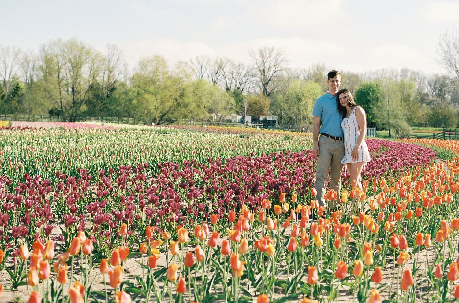 Couple standing among vibrant rows of orange and red tulips in a blooming flower field during spring.
