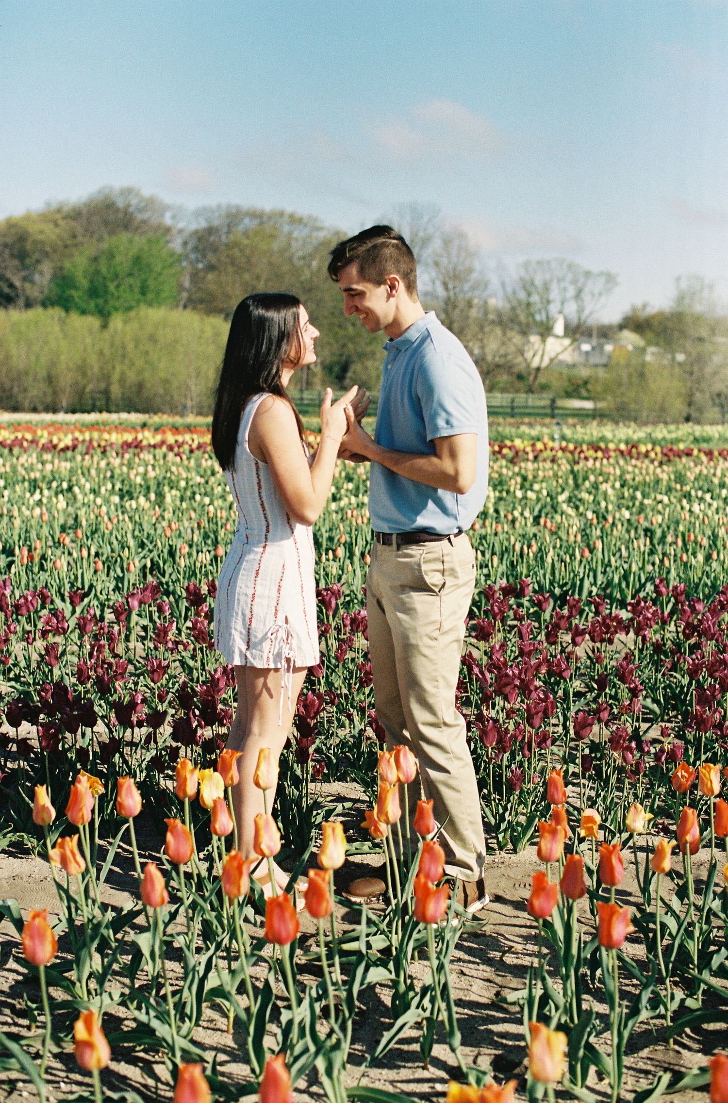 Couple holding hands and talking in a vibrant tulip field with orange and purple flowers on a sunny day.