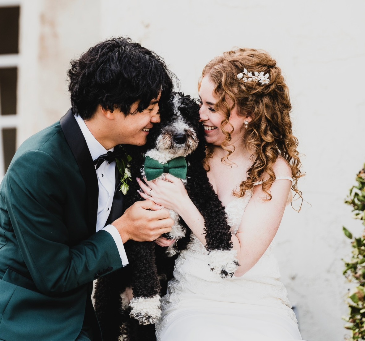 Bride and groom in wedding attire smile at their black and white dog wearing a green bow tie.