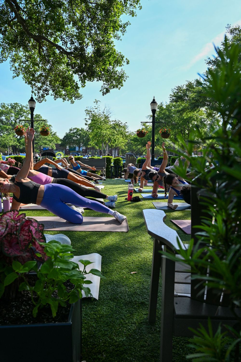 Group outdoor yoga class on grass mats in a sunny park, participants in side plank pose surrounded by lush green trees.