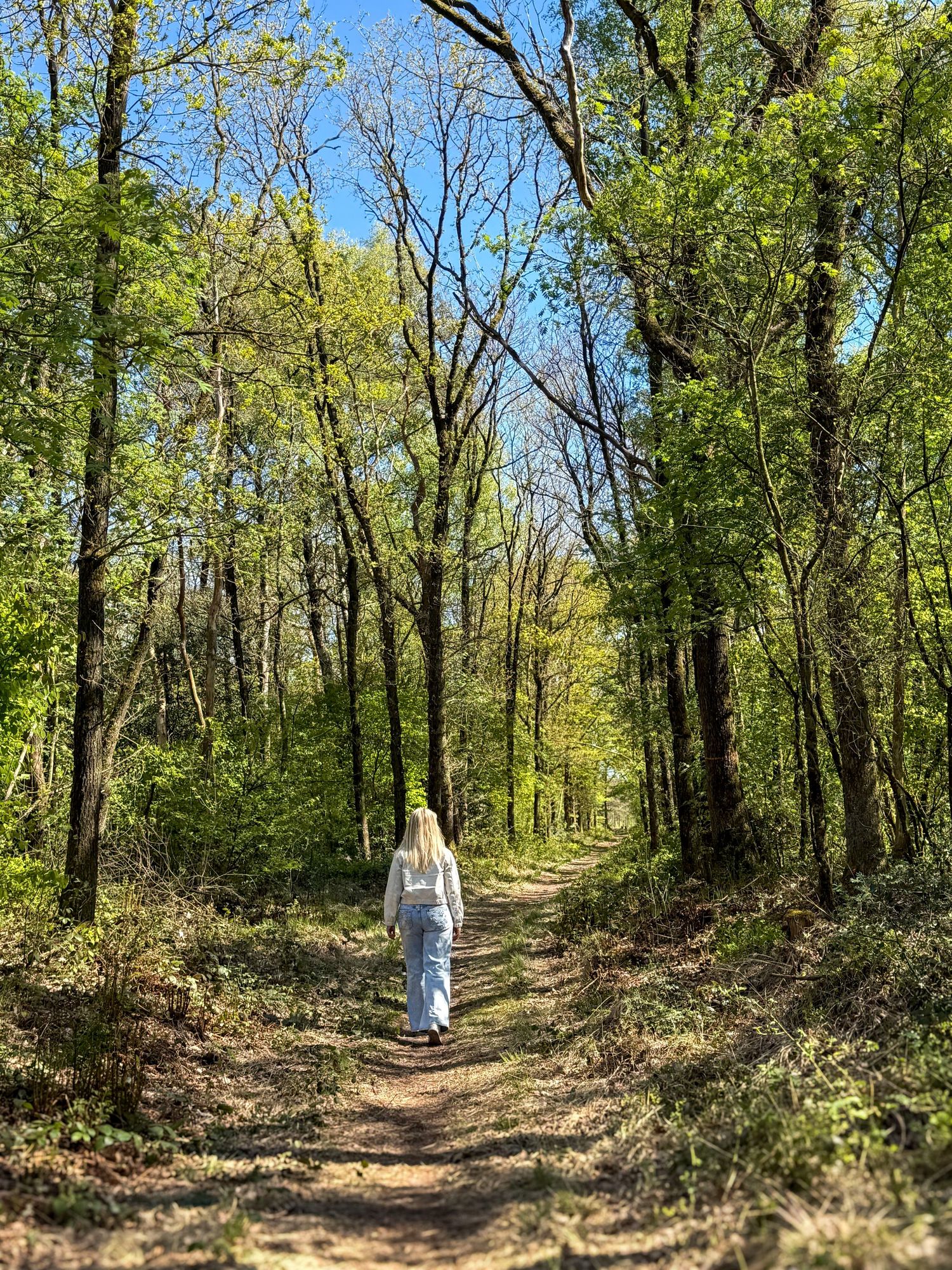 Blonde woman walking along a sunny forest trail surrounded by tall green trees.