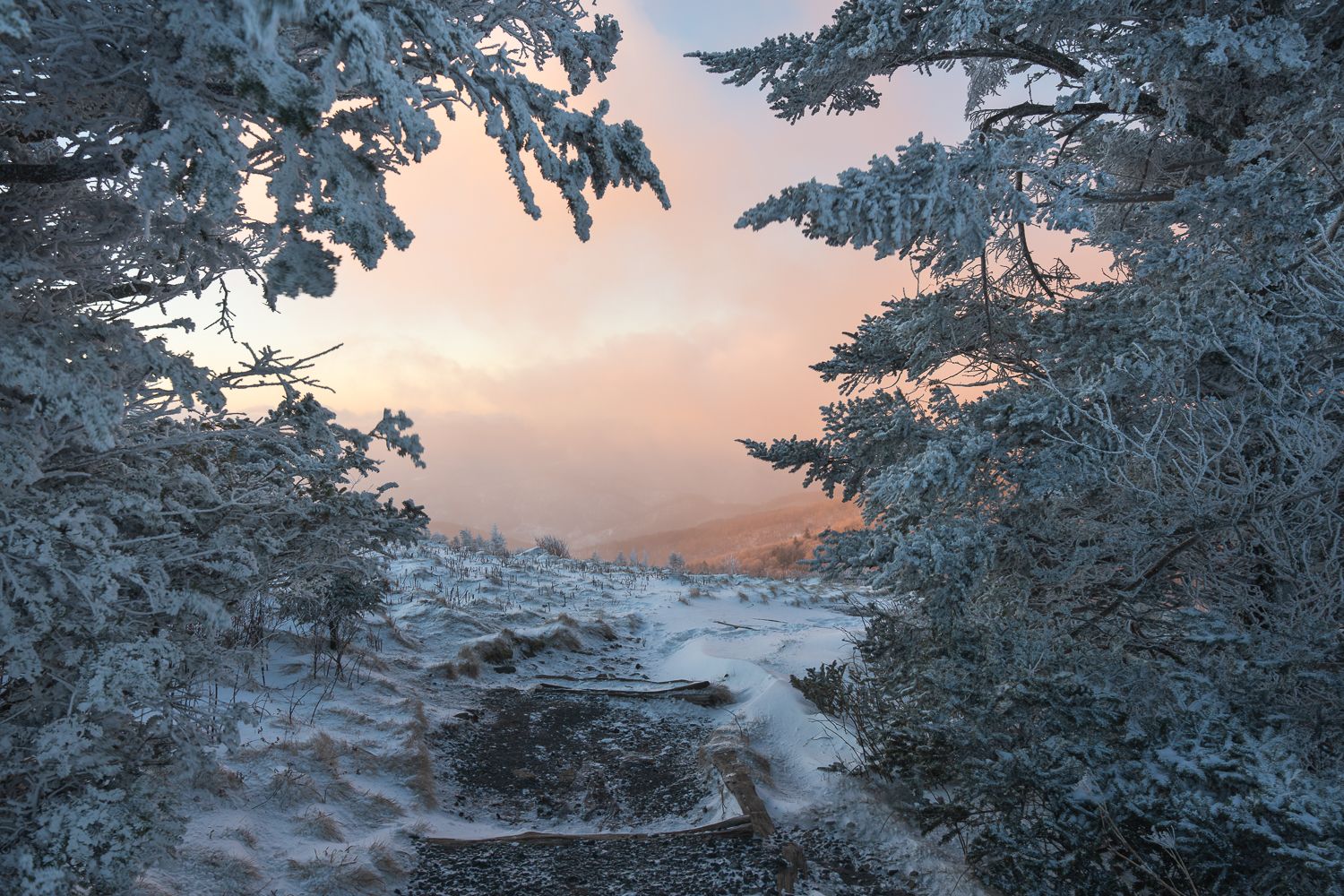 Snow-covered pine trees framing a winter trail at sunset with misty mountain views beyond.