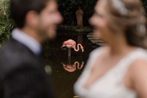 Decorative pink flamingo ornaments add whimsical touches to an outdoor wedding setting.